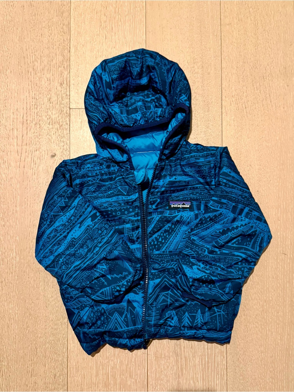 Patagonia Kids Reversible Blue Printed Hooded Puff Jacket